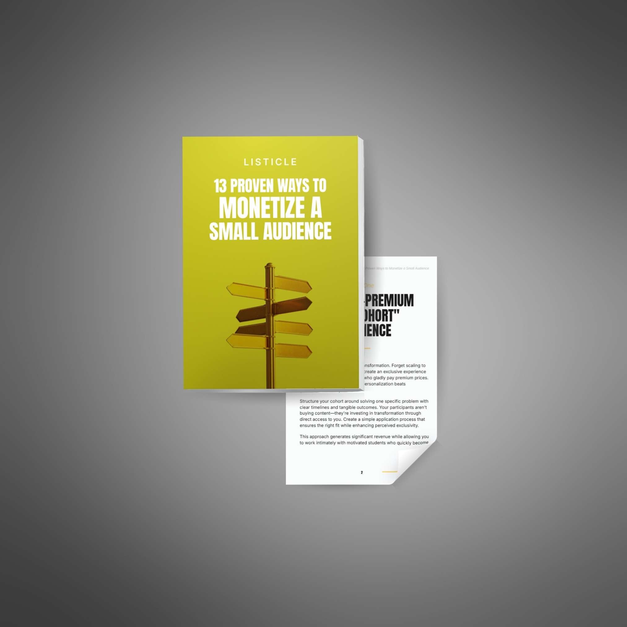 13 Proven Ways to Monetize a Small Audience