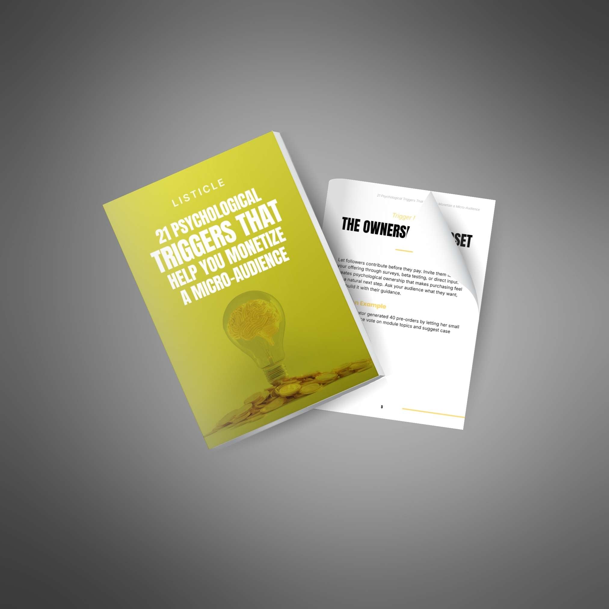 21 Psychological Triggers That Help You Monetize a Micro-Audience