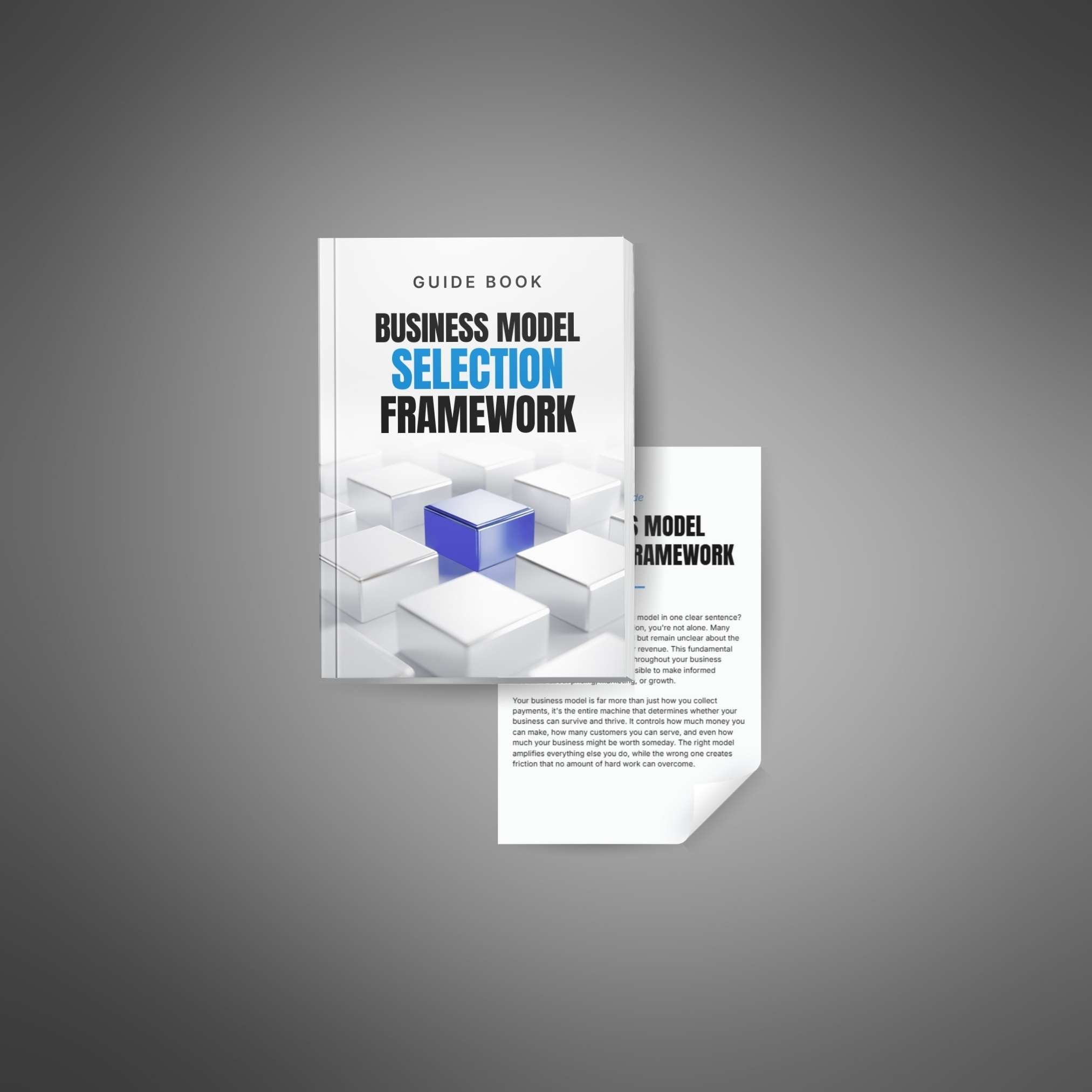 Business Model Selection Framework