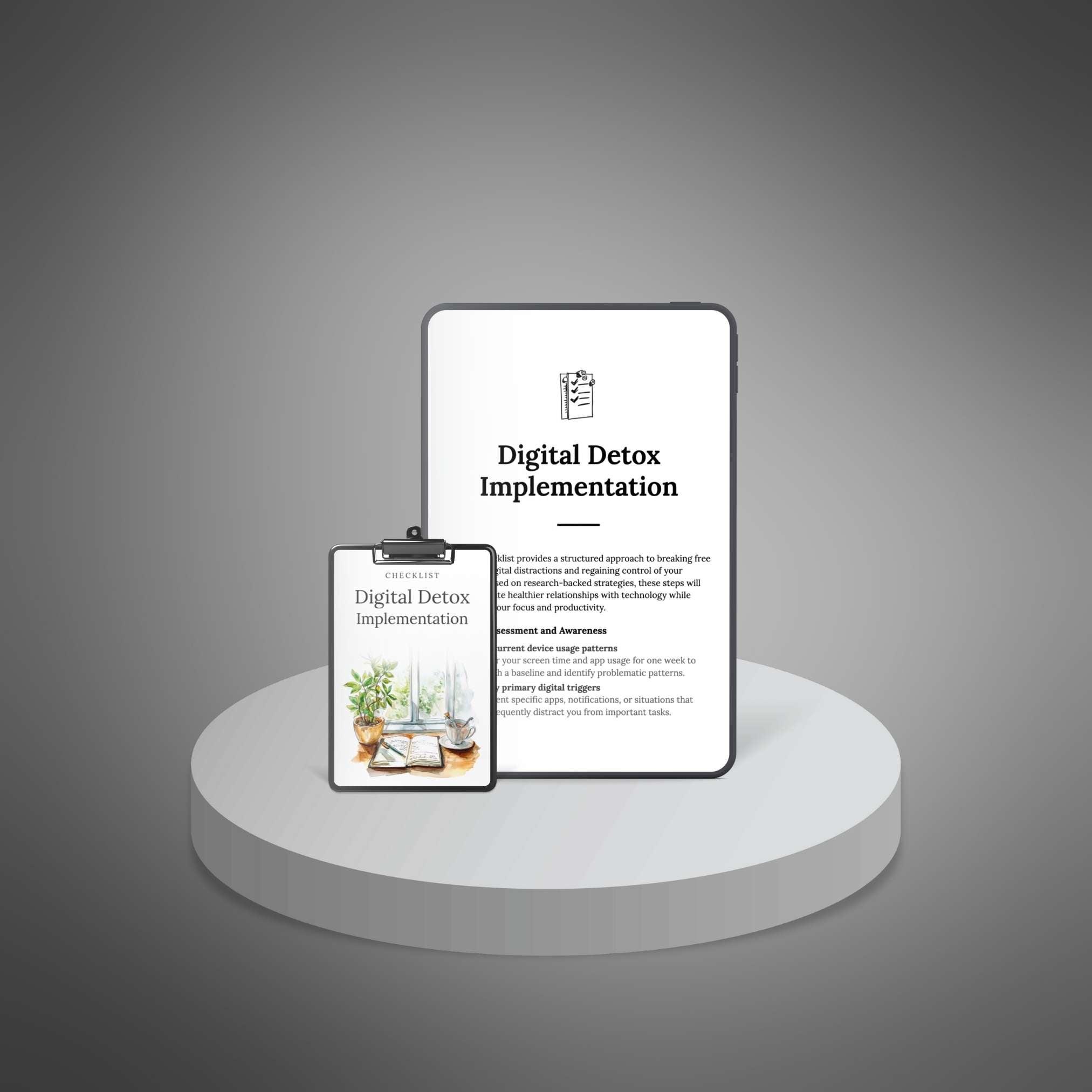 Digital Detox Implementation