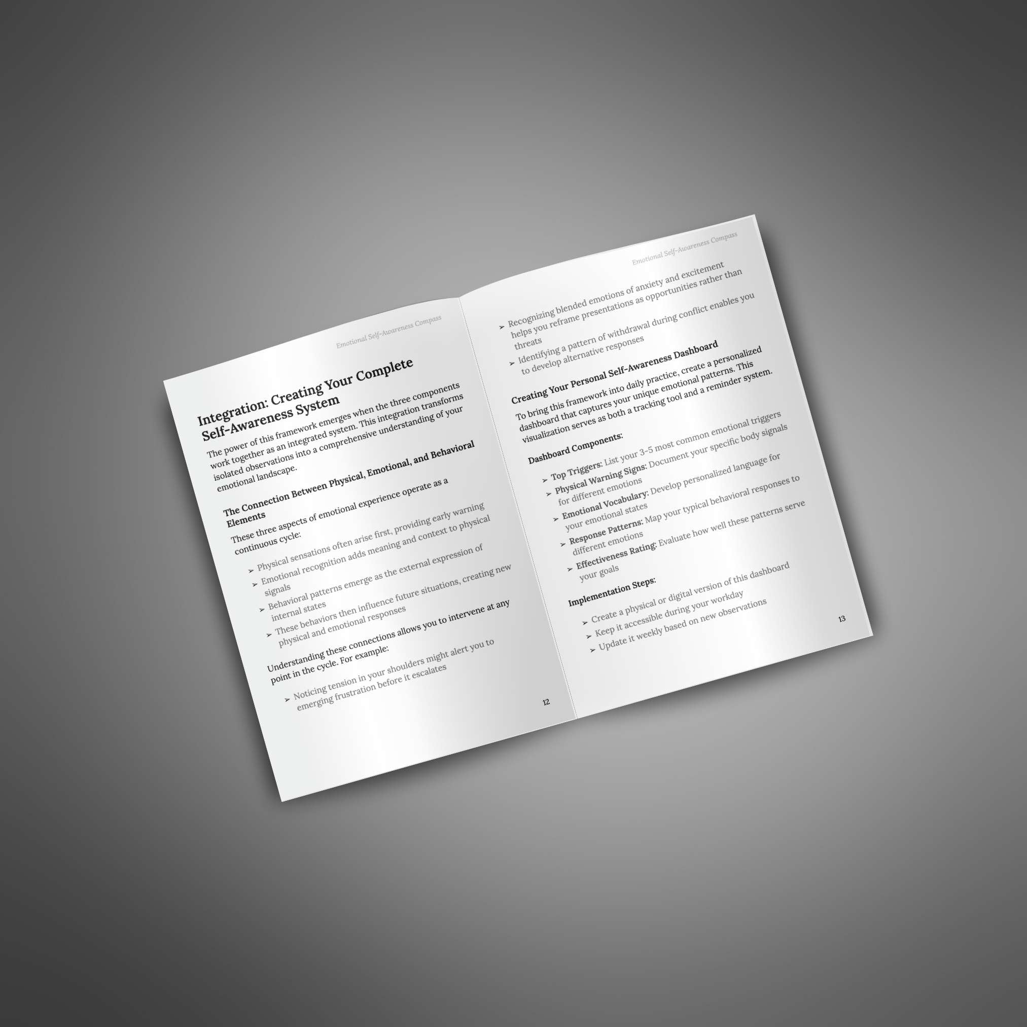 Emotional Self-Awareness Compass