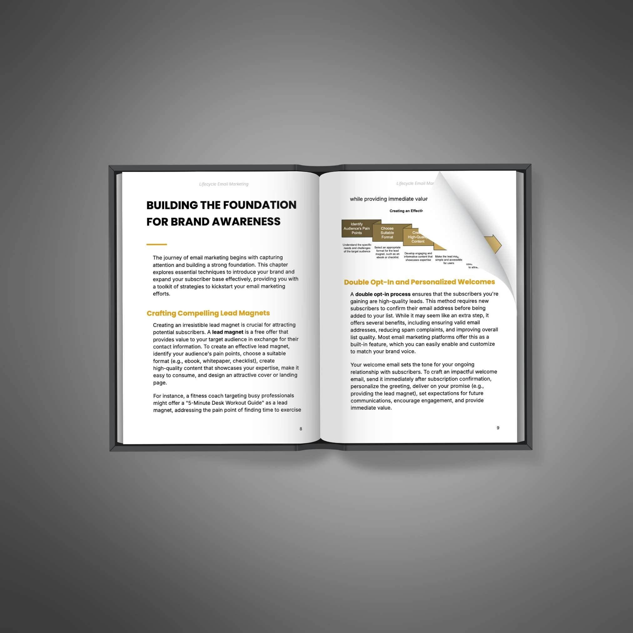 Lifecycle Email Marketing - Ebook