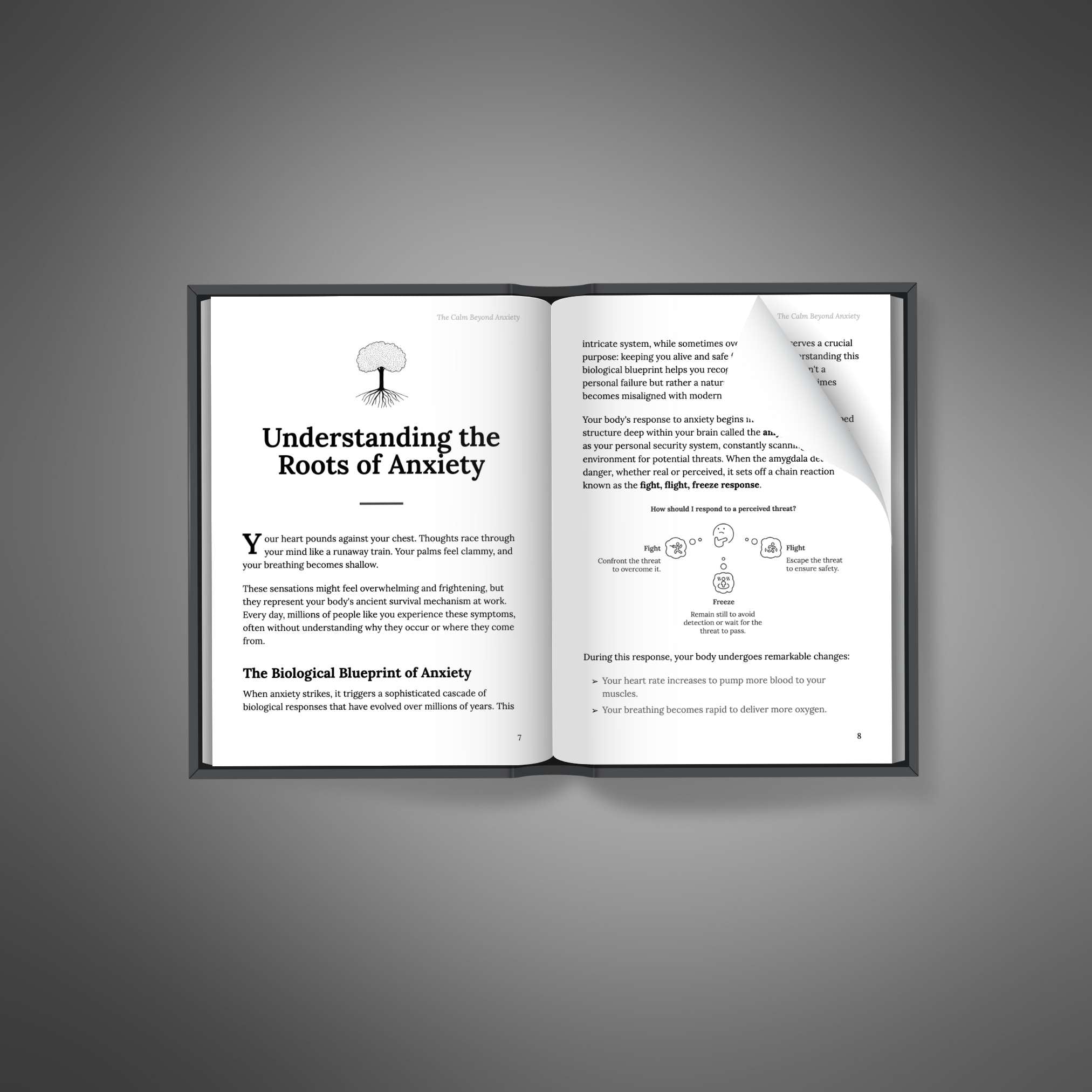 The Calm Beyond Anxiety