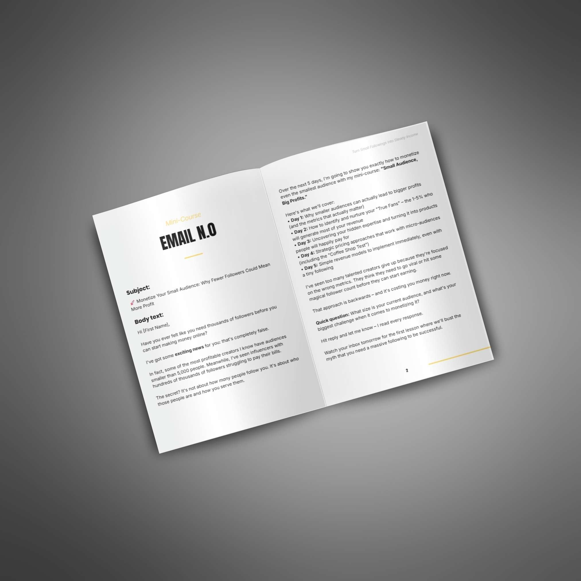 Turn Small Followings Into Steady Income