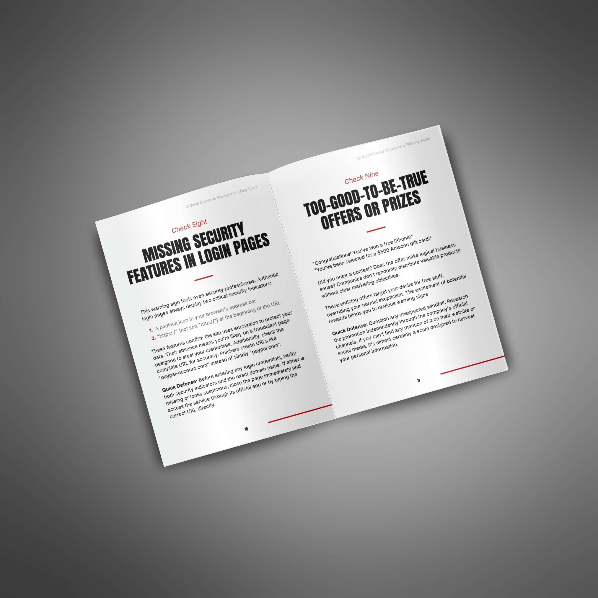 12 Quick Checks to Expose a Phishing Scam