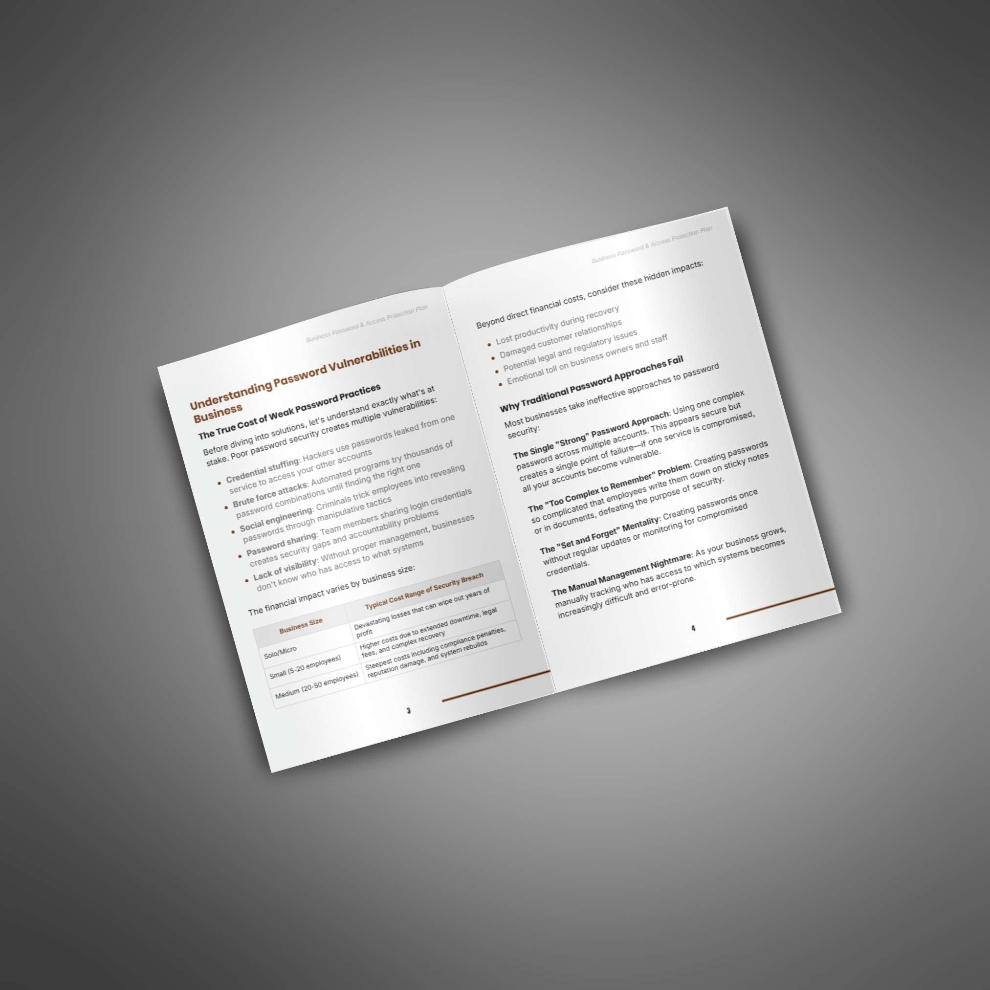 Business Password & Access Protection Plan