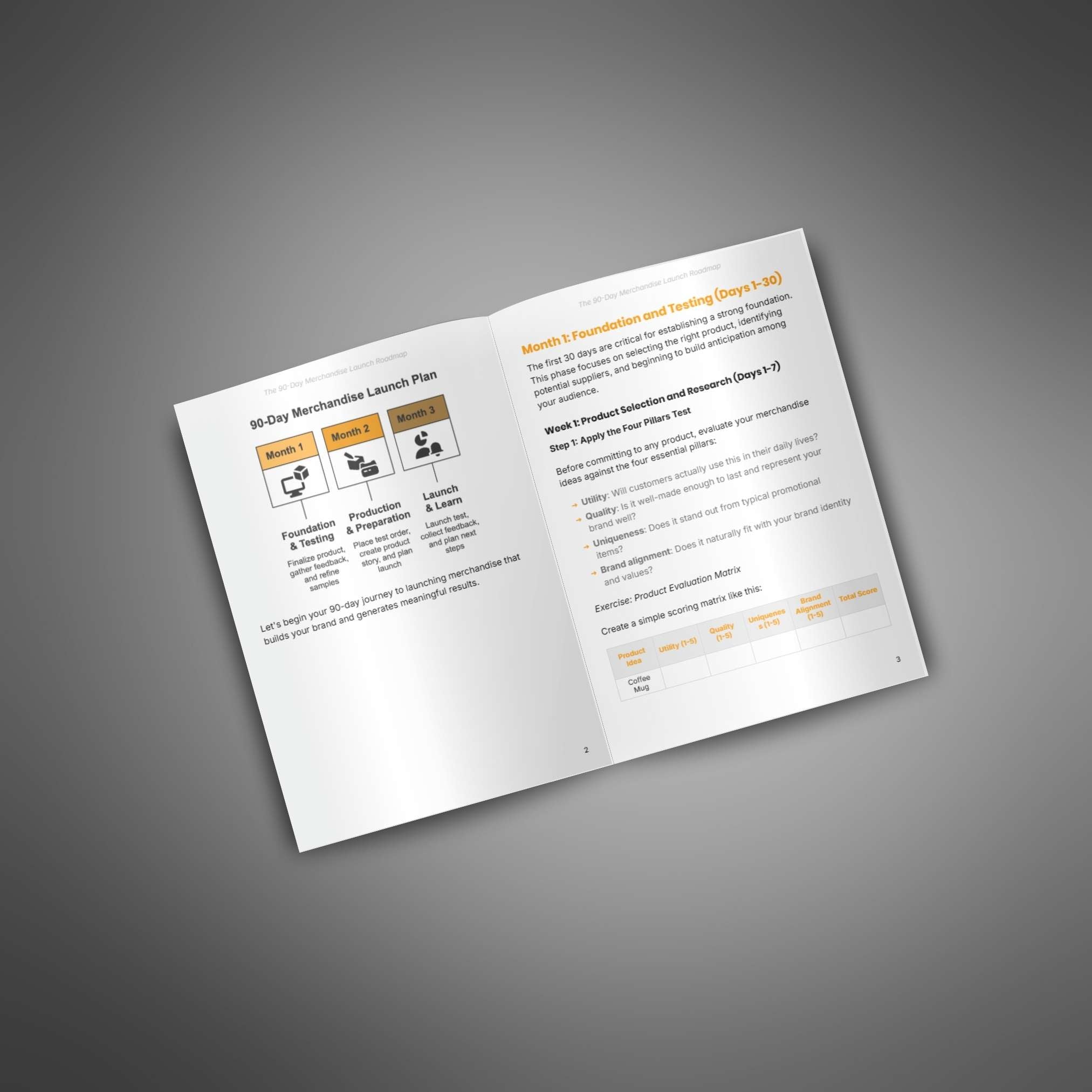 The 90-Day Merchandise Launch Plan