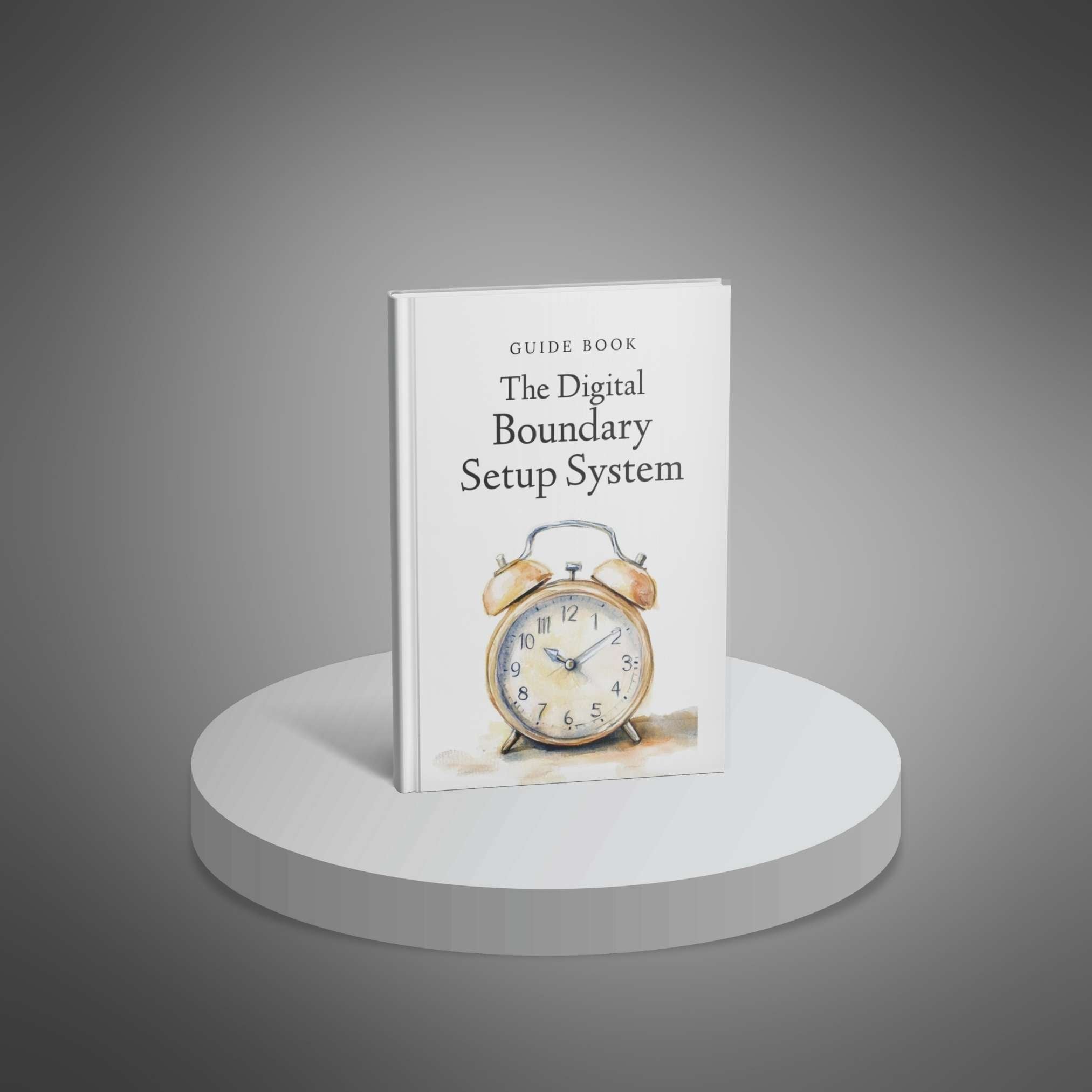 The Digital Boundary Setup System