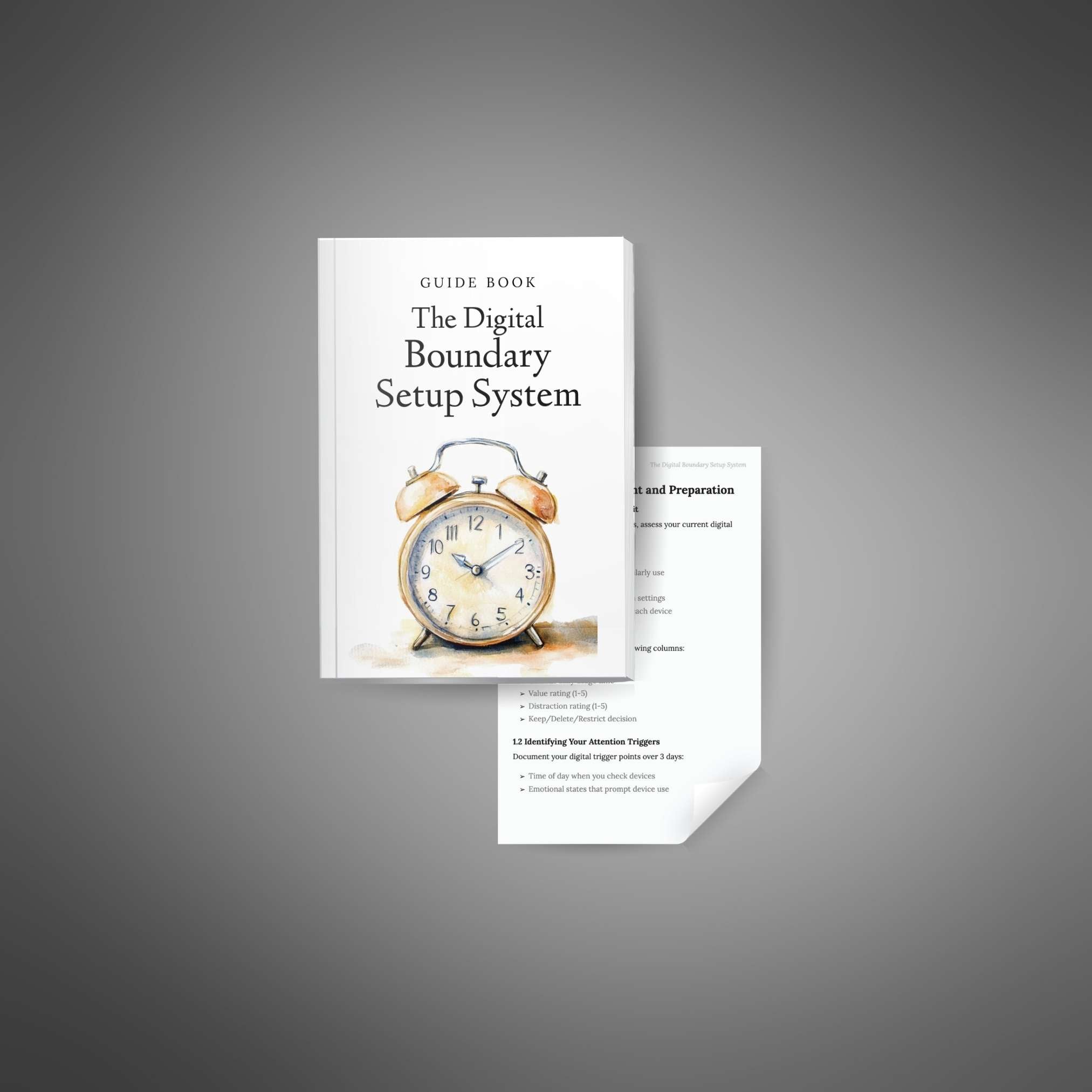 The Digital Boundary Setup System