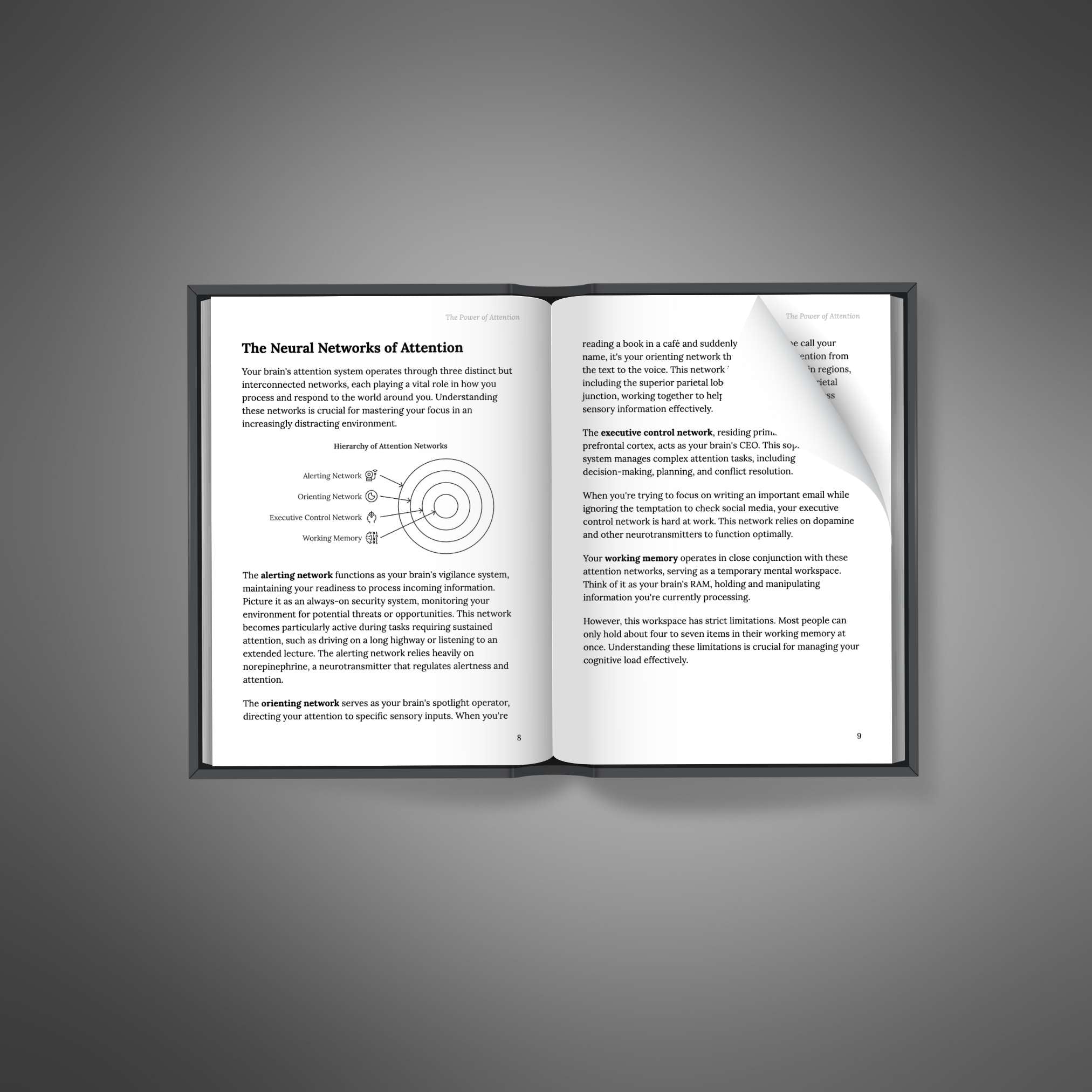 The Power of Attention